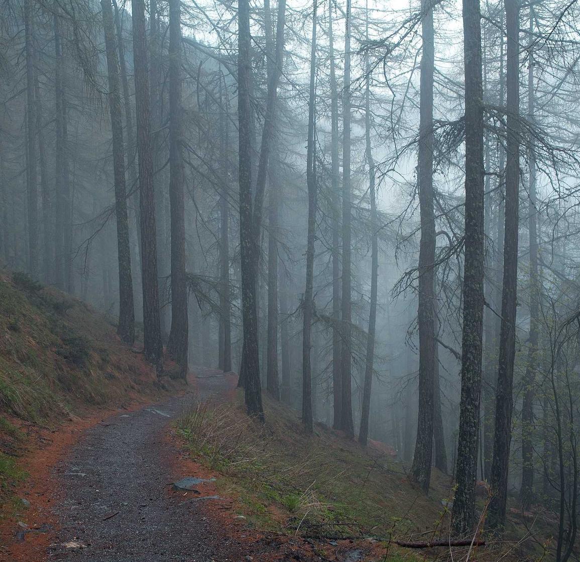 58同城实名账号：海运代理公司注册