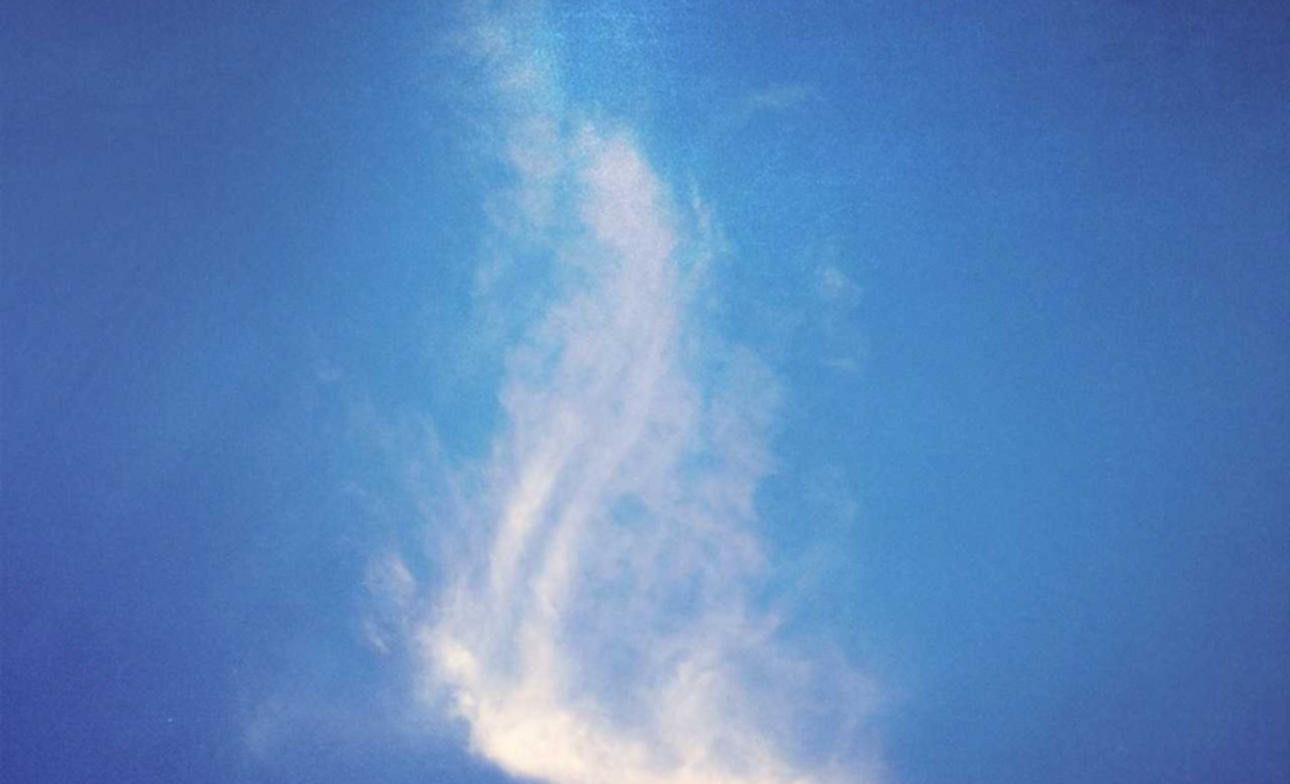 投资禁止吸烟：对经济的影响