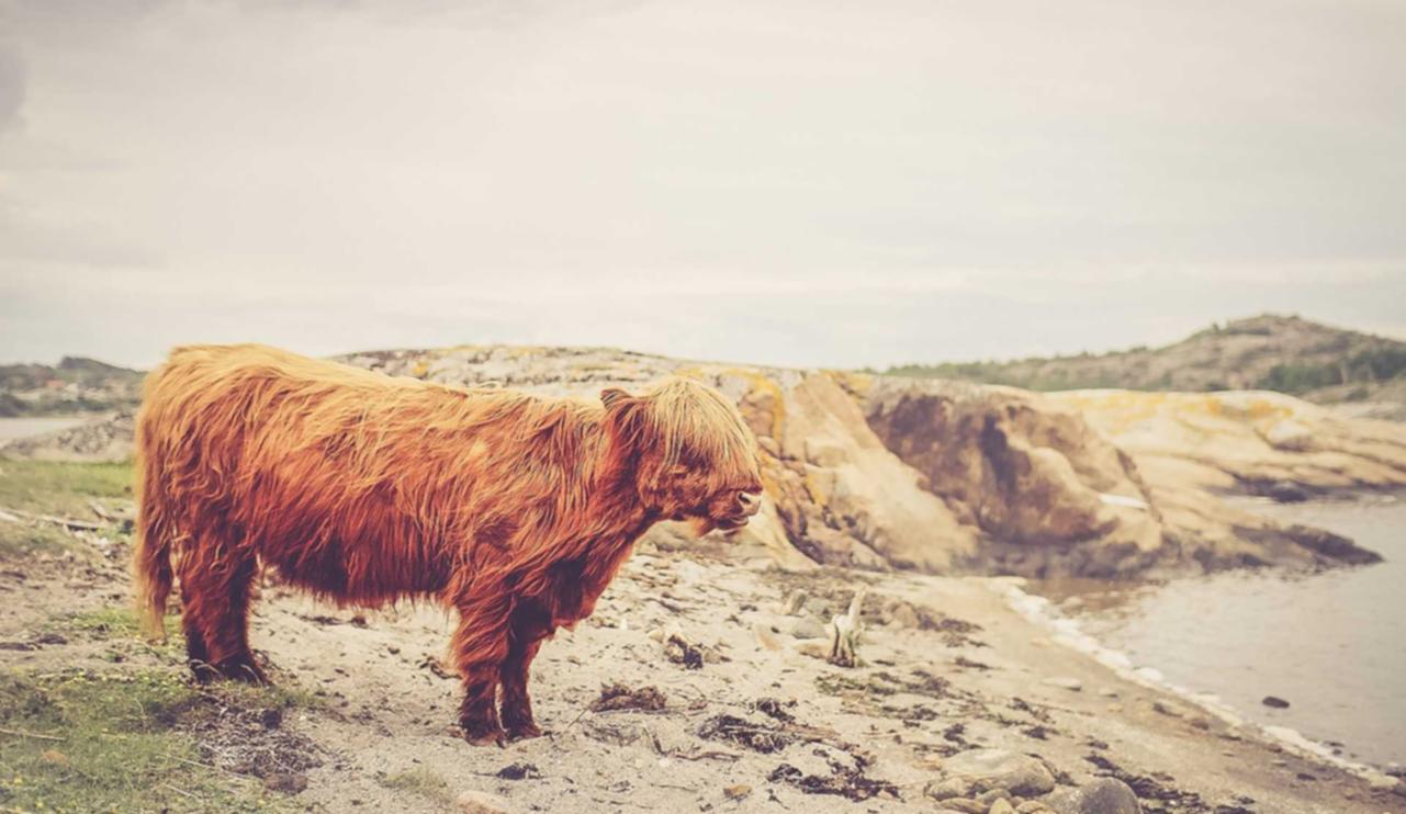 私人微信号:汉口代理平台